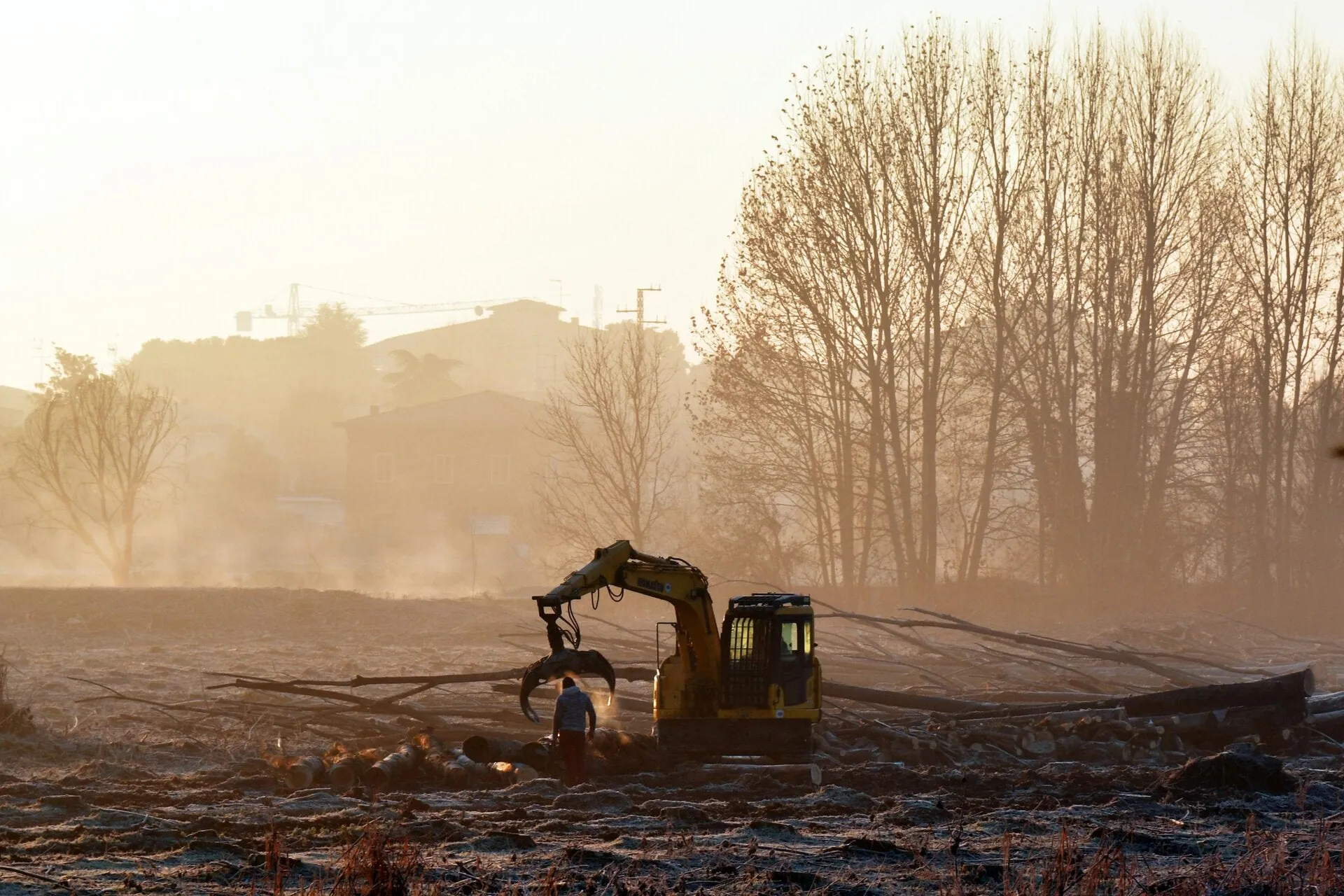 SCJ Removal clearing land at sunrise in Osceola County, FL